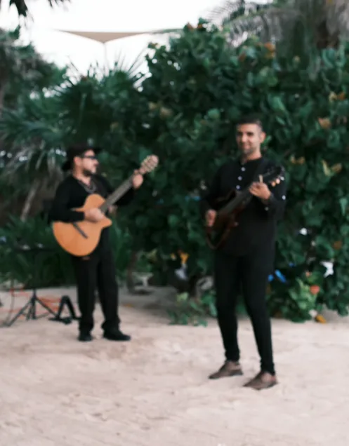 Live Musicians